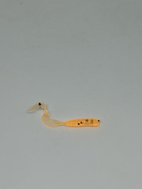Curly tail citrouille