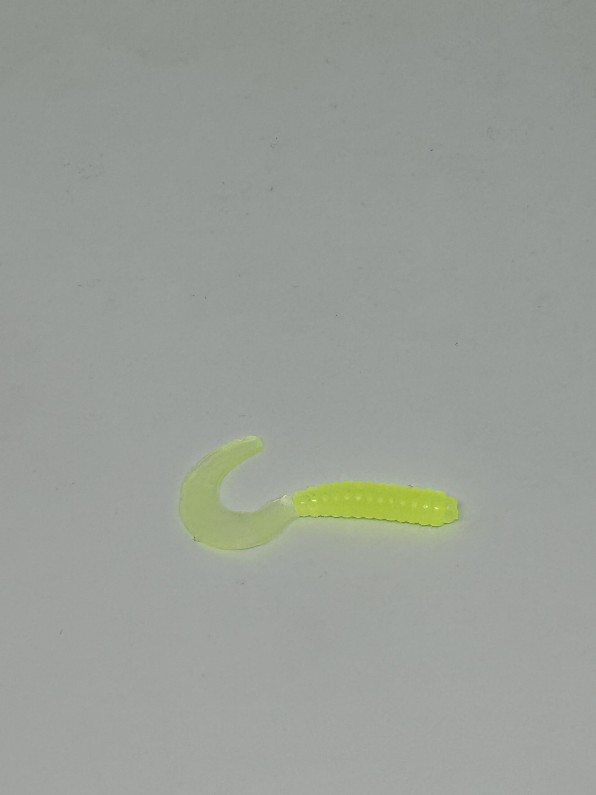 Curly tail chartreuse